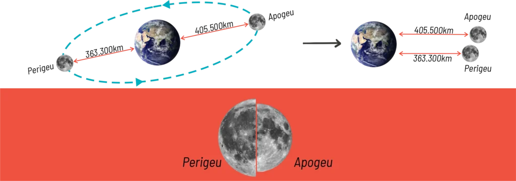 Infográfico educativo mostrando a órbita elíptica da Lua ao redor da Terra. Estão indicadas as distâncias do Perigeu (363.300 km) e Apogeu (405.500 km). Abaixo, em um fundo vermelho, uma montagem fotográfica divide a Lua ao meio, comparando seu tamanho aparente: visivelmente maior no perigeu e menor no apogeu.