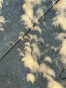 Fotografia de uma calçada de concreto com sombras de folhas de árvore. Os pequenos espaços de luz solar que filtram através das folhas não são redondos, mas sim em formato de pequenos crescentes, projetando as fases de um eclipse solar parcial no chão devido ao efeito óptico da câmara escura (pinhole).